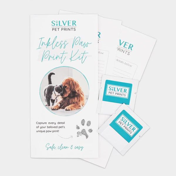 Pet Paw Print Kit  Inkless Paw Print Kit - Silver Pet Prints